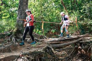 BIB: 
                            <button type="button" onclick="openModal(27558550)" class="btn btn-primary btn-sm float-right btn-popup" data-toggle="modal" data-target=".modal-high-quality">
                        <i class="fas fa-shopping-cart"></i> Add to Cart
                    </button>
                                            <button type="button" onclick="isThisMe(27558550, true)" class="btn btn-success btn-sm float-right btn-popup btn-isme hidden" data-toggle="tooltip" data-placement="bottom" title="นี่คือรูปของคุณใช่ไหม คลิกที่นี่เพื่อเอาเข้าอัลบั้ม">
                        <i class="fas fa-plus"></i> Add to album
                    </button>
                    <button type="button" onclick="isThisMe(27558550, false)" class="btn btn-warning btn-sm float-right btn-popup btn-isnotme hidden">
                        <i class="fas fa-ban"></i> Remove from album
                    </button>